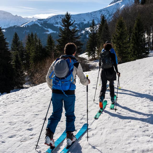 Ski touring