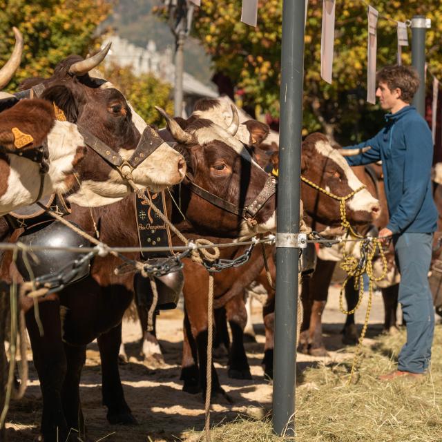 Fiera agricola di Saint-Gervais Mont-Blanc