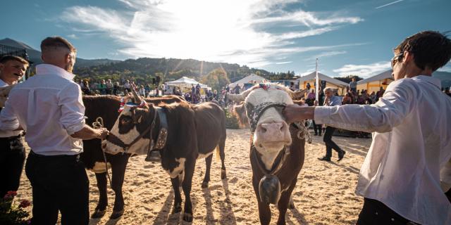 Fiera agricola di Saint-Gervais Mont-Blanc