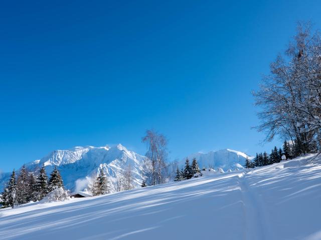 View of Mont Blanc during a snowshoe hike