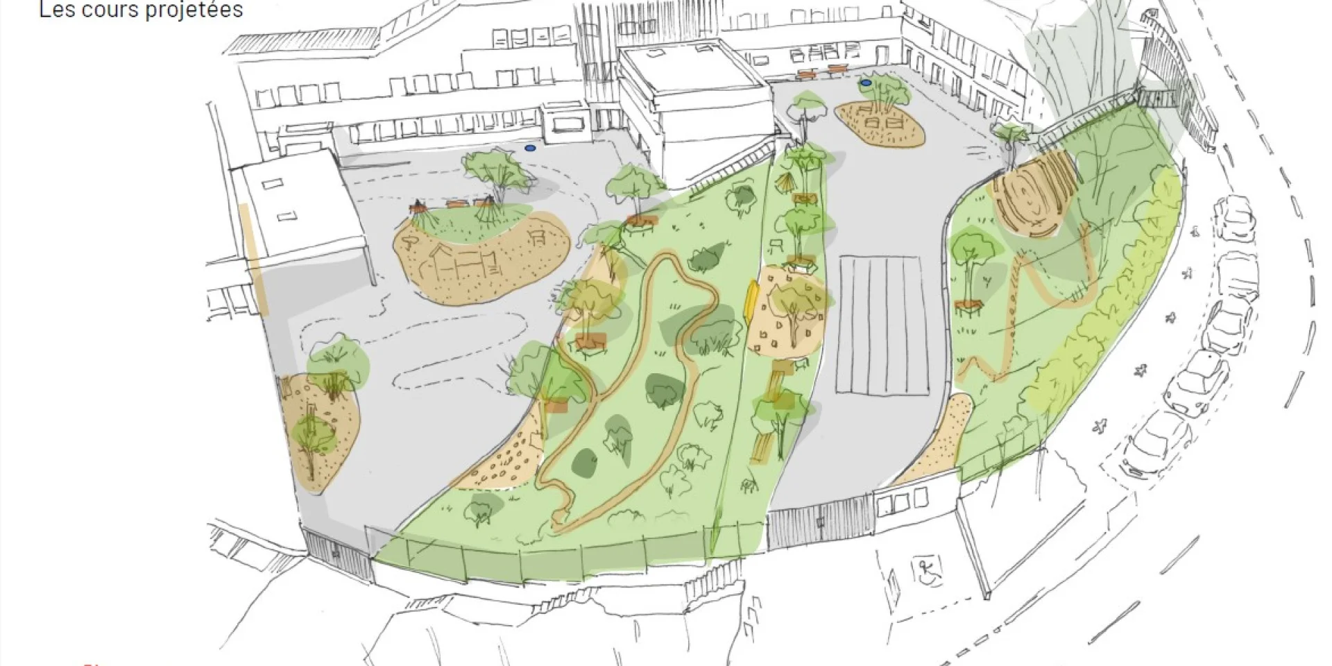 Schema Cours Mp Apres